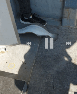 re-SmartSelect_20181003-124040_Video Player.gif